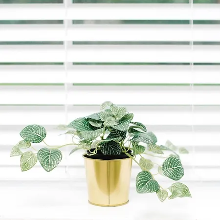 Stunning 2 Bedroom In Fantastic Location Apartmán *