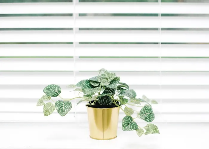 Stunning 2 Bedroom In Fantastic Location Apartmán *